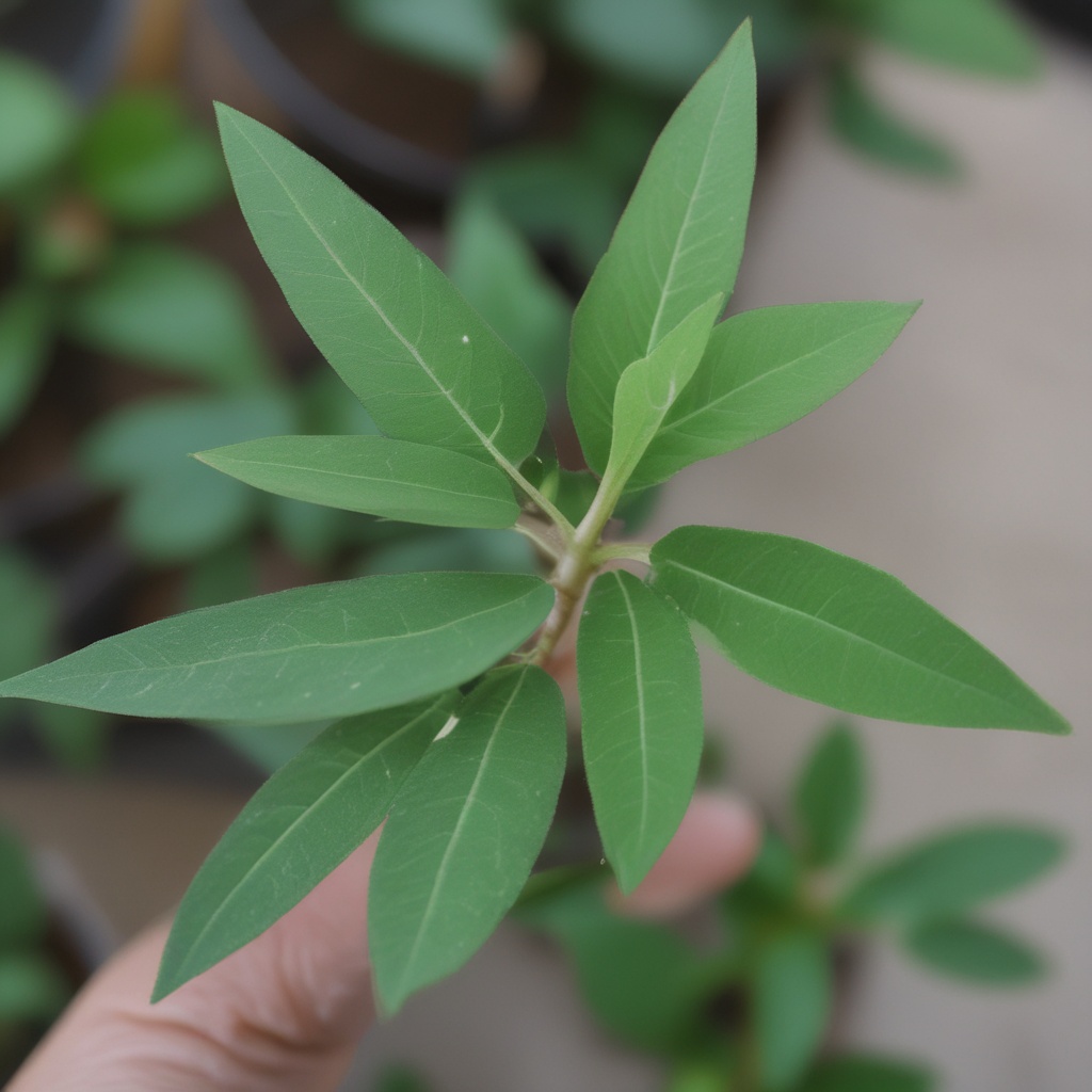 Plant thumbnail